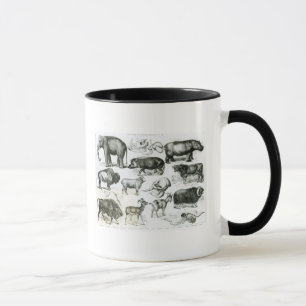 Ungulata or Hoofed Animals Mug
