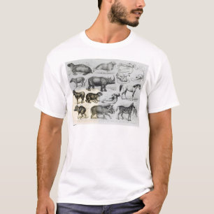 Ungulata or Hoofed Animals T-Shirt