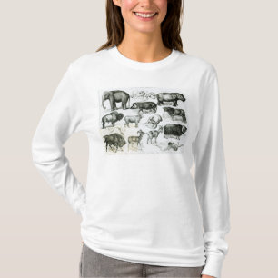 Ungulata or Hoofed Animals T-Shirt