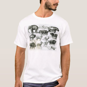 Ungulata or Hoofed Animals T-Shirt