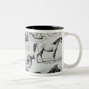 Ungulata or Hoofed Animals Two-Tone Coffee Mug