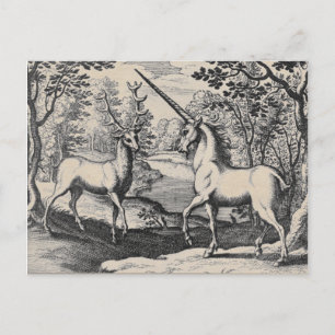 Unicorn and Stag in the Magical Forest Postcard