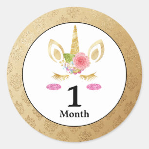 Unicorn Baby Month Stickers