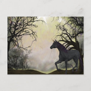 Unicorn Fantasy Postcard