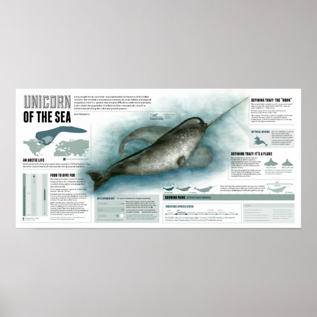 Unicorn of the Sea Poster (Front)