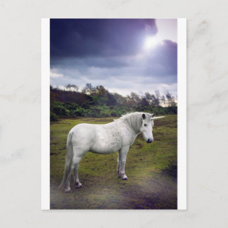 UNICORN POSTCARD
