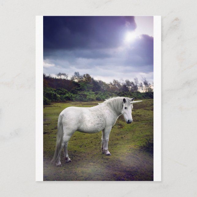UNICORN POSTCARD (Front)
