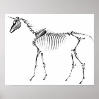 Unicorn Skeleton