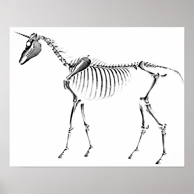 Unicorn Skeleton Poster (Front)
