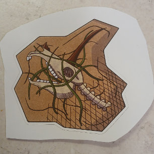Unicorn skull beach sticker