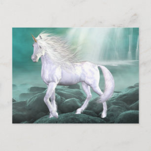Unicorn White Beauty Postcard