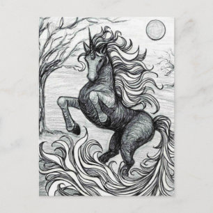 Unicorns Black Unicorn Black & White Drawing Postcard