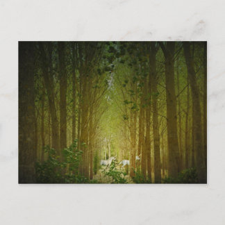 Unicorns Postcard