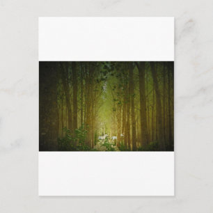 Unicorns Postcard