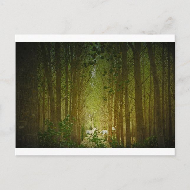 Unicorns Postcard (Front)