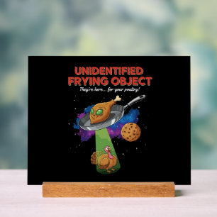 Unidentified Frying Object Funny Alien UFO Turkey Acrylic Sign