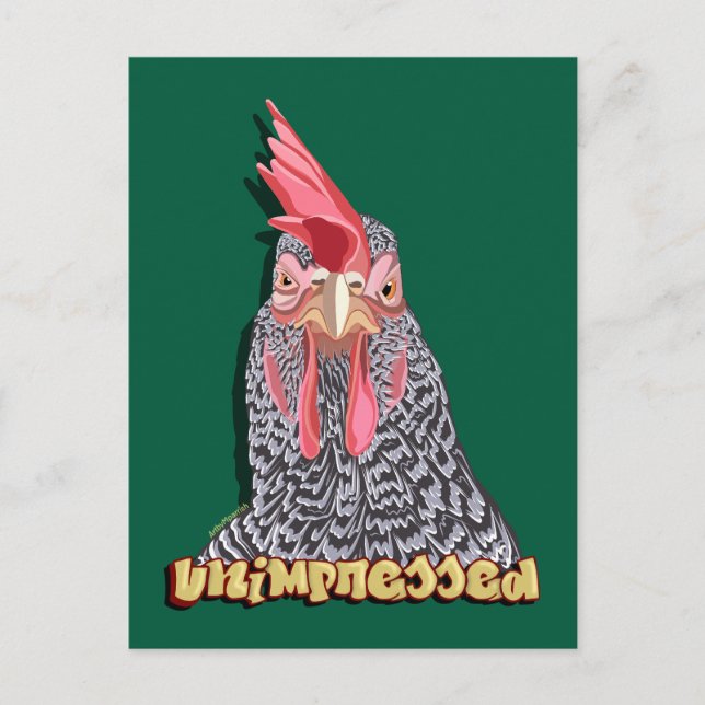 Unimpressed Barred Rock Hen Postcard (Front)