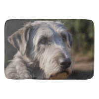 "Unimpressed Majesty: The Wolfhounds' Stoic Gaze"