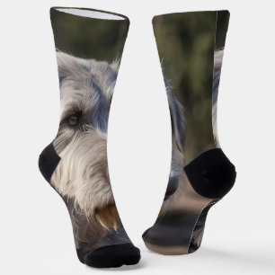 "Unimpressed Majesty: The Wolfhounds' Stoic Gaze" Socks