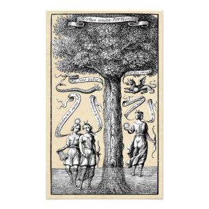 Union of Opposites in Mediaeval Alchemy Photo Print