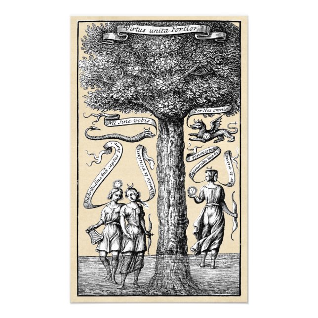 Union of Opposites in Mediaeval Alchemy Photo Print (Front)
