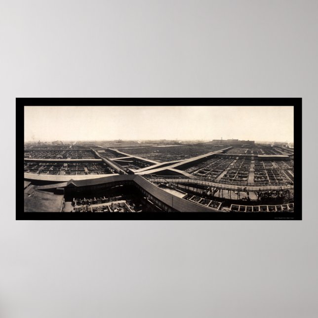 Union Stockyards Photo 1907 Poster (Front)