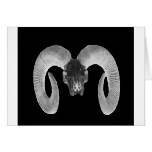 unique and handmade goat skull