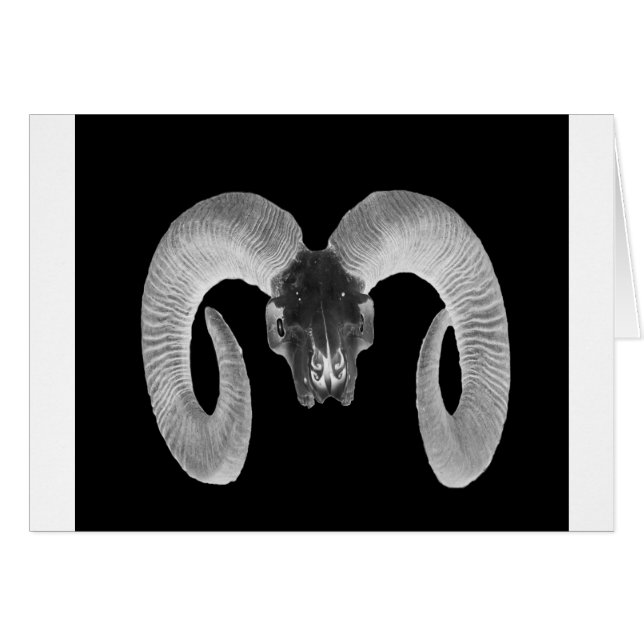 unique and handmade  goat skull (Front Horizontal)