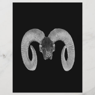 unique and handmade goat skull