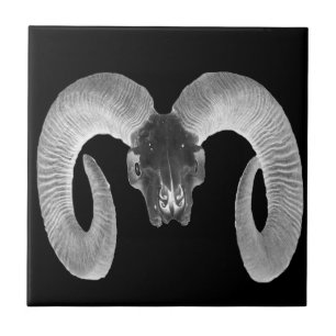 unique and handmade goat skull ceramic tile