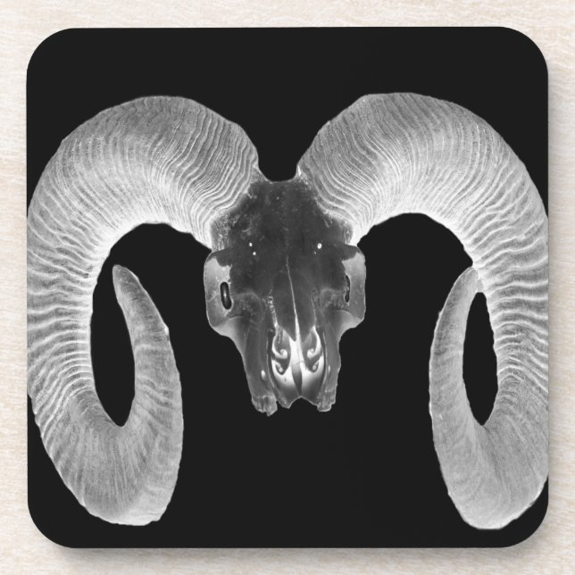unique and handmade  goat skull coaster (Front)
