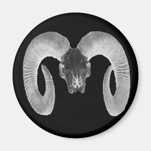 unique and handmade  goat skull magnet (Front)