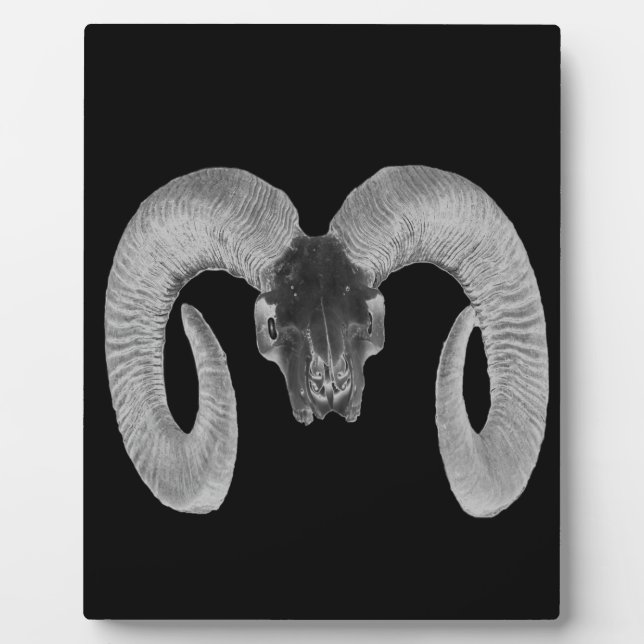 unique and handmade  goat skull plaque (Front)