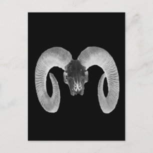 unique and handmade  goat skull postcard