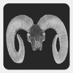 unique and handmade  goat skull square sticker