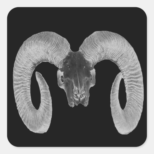 unique and handmade  goat skull square sticker (Front)