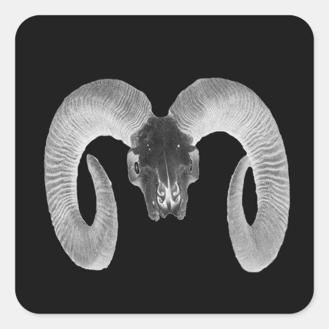 unique and handmade  goat skull square sticker (Front)