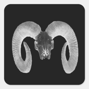 unique and handmade  goat skull square sticker