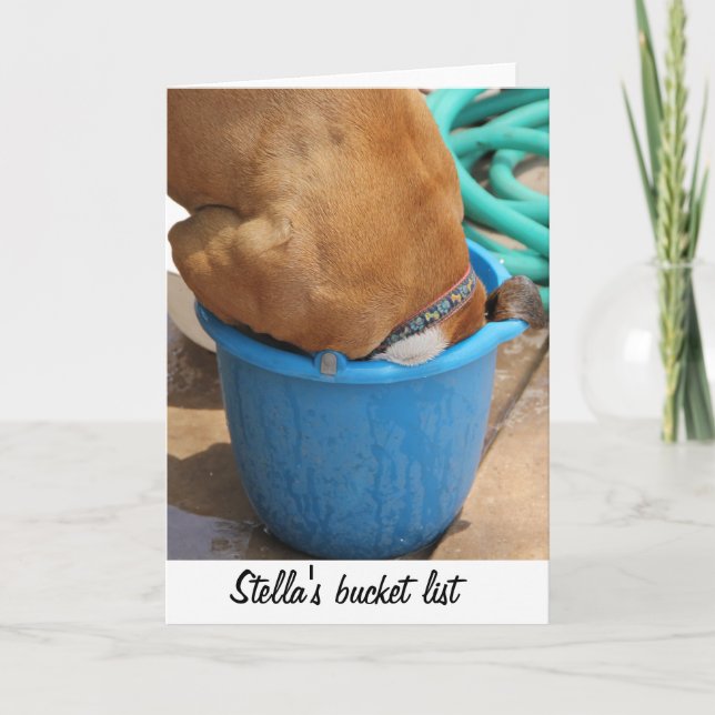 Unique and humorous dog photo of boxer in a bucket card (Front)