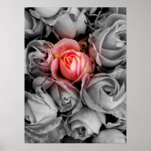 Unique Beauty Poster