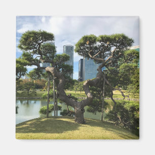 Unique Black Pine Tree Magnet