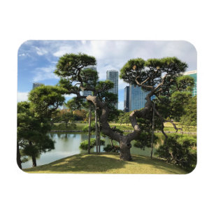 Unique Black Pine Tree Magnet