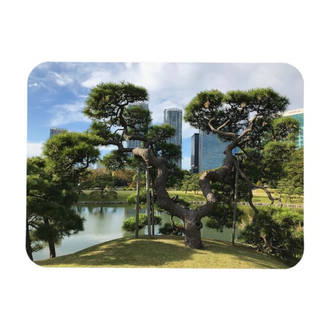 Unique Black Pine Tree Magnet (Horizontal)
