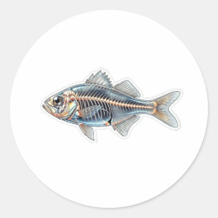 Unique Clear Glassfish Transparency Scientific Ill Classic Round Sticker