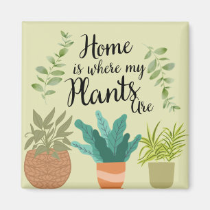 Unique Fridge Magnet Collection