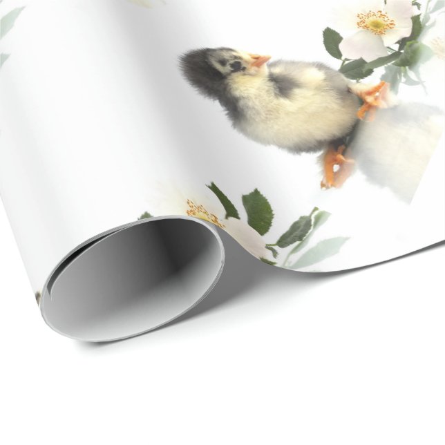 unique, glossy Wrapping Paper, colourful, festive, Paper (Roll Corner)