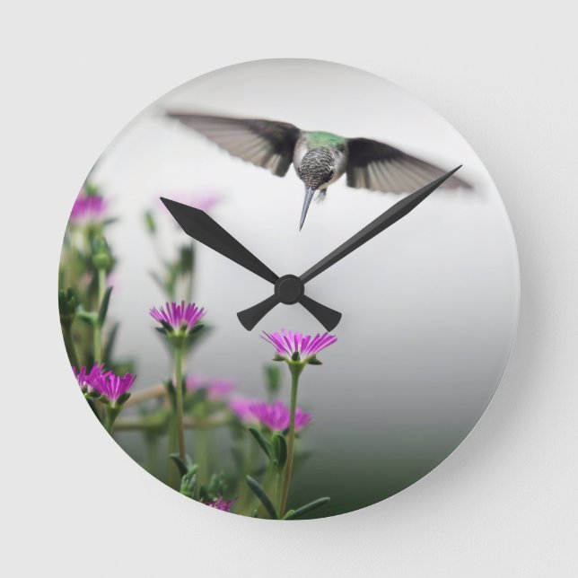 Unique Hummingbird Round Clock (Front)