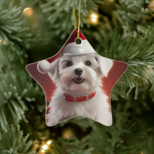Unique Maltese Christmas, Gift For Dog Lovers Ceramic Ornament
