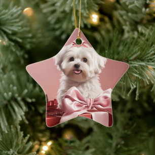 Unique Maltese Christmas, Gift For Dog Lovers Ceramic Ornament