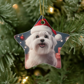 Unique Maltese Christmas, Gift For Dog Lovers Ceramic Ornament